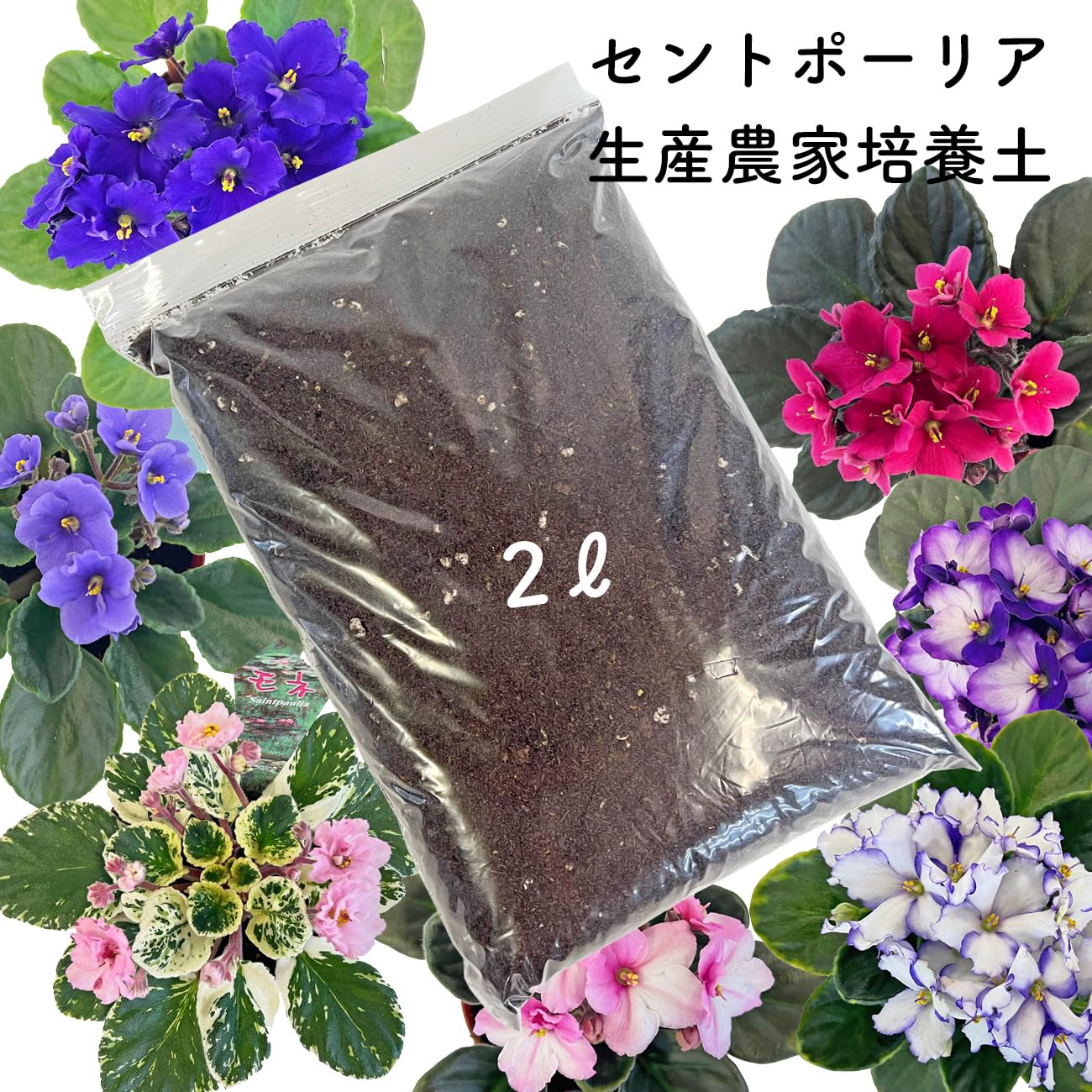 Amazon | セントポーリア 専用培養土 2リットル 元肥入り 生産者が使用